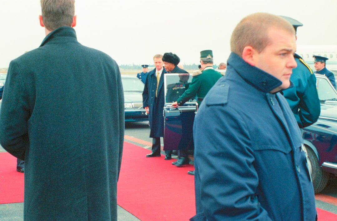 celebrities on red carpet